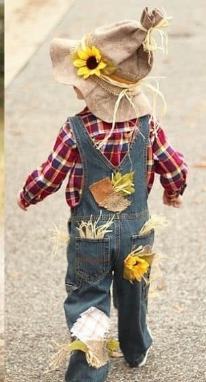 Homemade Halloween Costume Scarecrow